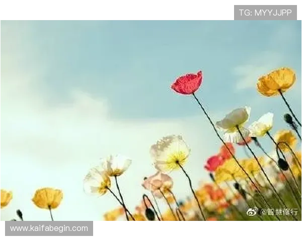 如何顺利完成k8(国际)首页登录流程，解决登录遇到的常见问题